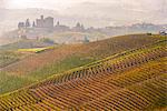 The vineyards and the castle of Grinzane Cavour in Autumn. Italy, Piedmont, Cuneo district, Langhe