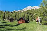 La Valle / Wengen, Alta Badia, Bolzano province, South Tyrol, Italy. Hikers traveling on the pastures of Pra de Rit