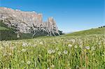 Alpe di Siusi/Seiser Alm, Dolomites, South Tyrol, Italy.