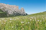 Alpe di Siusi/Seiser Alm, Dolomites, South Tyrol, Italy.