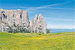 Alpe di Siusi/Seiser Alm, Dolomites, South Tyrol, Italy.