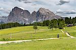 Alpe di Siusi/Seiser Alm, Dolomites, South Tyrol, Italy.