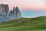 Alpe di Siusi/Seiser Alm, Dolomites, South Tyrol, Italy. Sunrise on the Alpe di Siusi