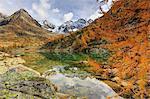 Italy, Lombardy, autumn landscape at Painale lake, in the background Ron peak