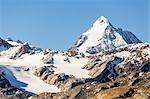 Snowy peak of Gran Zebru, Val Martello, Venosta Valley, province of Bolzano, South Tyrol, Italy