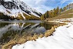 Larch trees reflected in Lai da Palpuogna (Palpuognasee), Bergün, Albula Pass, canton of Grisons, Switzerland