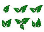 natural set of green leaves silhouettes on white background