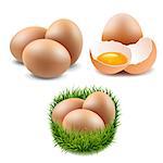 Eggs Collection Gradient Mesh, Vector Illustration