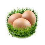 Eggs Set With Grass Gradient Mesh, Vector Illustration