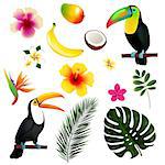 Tropical Leaves Toucan And Fruit, With Gradient Mesh, Vector Illustration