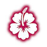 Decorative vector hibiscus flower icon creative halftone effect