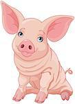 Illustration of cute pig