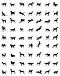 Black silhouettes of different races of dogs