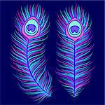 Peacock feathers on dark blue background  for your design