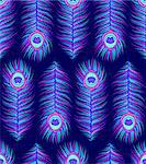 Seamless pattern with colorful peacock feathers on dark blue background