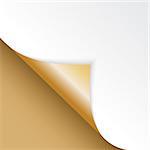 Shape of bent angle is free for filling gold color. Vector Illustration. EPS10