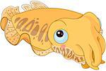 Illustration of cute cuttle fish