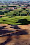 Sunlit rolling hills of farmland of Palouse region of Washington State America from Steptoe Butte in Spring