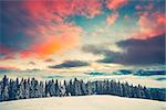 Fantastic evening winter landscape with snow slope and pine tree forest. Dramatic sunset pink clouds sky. Nature landscape. Travel background. Retro toning filter. Holiday, travel, sport, recreation