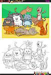Cartoon Illustration of Cats and Kittens Animal Characters Group Coloring Book Activity