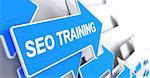 SEO Training - Search Engine Optimization Training, Message on Blue Cursor. SEO Training - Search Engine Optimization Training - Blue Cursor with a Label Indicates the Direction of Movement. 3D.