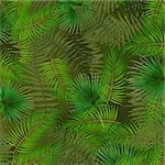 Colorful naturalistic background from the leaf of Libistones (Palm). Vector Illustration. EPS10