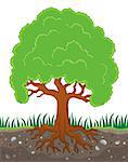 Tree with roots theme image 3 - eps10 vector illustration.