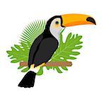 Toco toucan icon is a flat, cartoon style. Exotic bird sitting on a branch in the tropics. Isolated on white background. Vector illustration