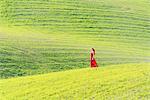 San Quirico d'Orcia, Orcia valley, Siena, Tuscany, Italy. A young woman in red dress is walking in a wheat field