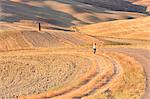 Europe,italy,Tuscany,Siena district,Orcia valley.