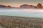 Autumn sunrise in a campaign, Como province, Lombardy, Italy, Europe