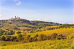 Historic centre of San Gimignano from vineyards in autumn. San Gimignano, Siena province, Tuscany, Italy, Europe