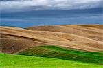 hills of val d'orcia, val d'orcia, pienza, siena, Tuscany, italy
