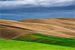 hills of val d'orcia, val d'orcia, pienza, siena, Tuscany, italy