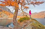 Woman staring at colorful larch near Lake Devero, Alpe Veglia and Alpe Devero Natural Park, Baceno, Verbano Cusio Ossola province, Piedmont, Italy