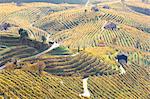 Vineyards of Prosecco wine in autumn, Valdobbiadene area, Treviso, Veneto, Italy