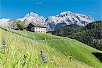 La Valle / Wengen, Alta Badia, Bolzano province, South Tyrol, Italy. Old farm before the peaks of Cima Nove / Neunerspitze and Cima Dieci / Zehnerspitze.