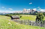 Alpe di Siusi/Seiser Alm, Dolomites, South Tyrol, Italy.