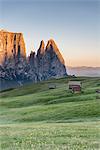 Alpe di Siusi/Seiser Alm, Dolomites, South Tyrol, Italy. Sunrise on the Alpe di Siusi