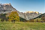 Eng, Riss Valley, Vomp, Schwaz district, Tyrol, Austria, Europe. Sycamore maple in autumn colors at sunrise with the Mount Spritzkar and Mount Grubenkar