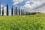 Italy, Tuscany, Orcia valley, farmhouse Poggio Covili at Castiglione d'orcia, provence of Siena