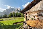 Wood hut, Malga Foresta, Val Foresta, Dolomites, province of Bolzano, South Tyrol, Italy