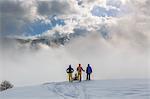 Ski mountaineers on Monte Colombana, Gerola Valley, Sondrio province, Valtellina, Lombardy, Italy