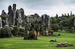 Stone Forest or Shilin, Kunming, Yunnan Province, China, Asia, Asian, East Asia, Far East