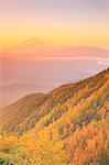 Beautiful view of Mount Fuji and autumn leaves, Yamanashi Prefecture, Japan