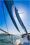 Backlit sails of sailboat in the Sydney Harbour with the CBD and Sydney Harbour Bridge in the background in Sydney, New South Wales, Australia