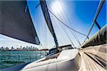 Backlit sails of sailboat in the Sydney Harbour with the Sydney Harbour Bridge in the background in Sydney, New South Wales, Australia