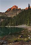 Lake O'Hara at sunset, Yoho National Park, UNESCO World Heritage Site, British Columbia, Canadian Rockies, Canada, North America