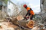 Arborist cutting log