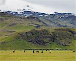 Horses in pasture at feet of snowcapped mountains